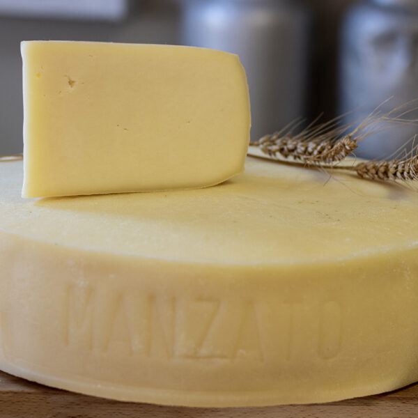 Formaggio Latteria - Formaggi Manzato