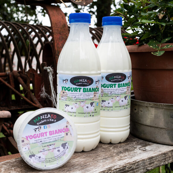 Yogurt bianco - Formaggi Manzato